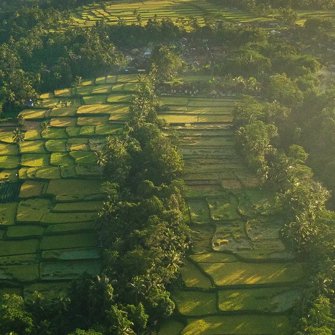 transculturele systemische coaching