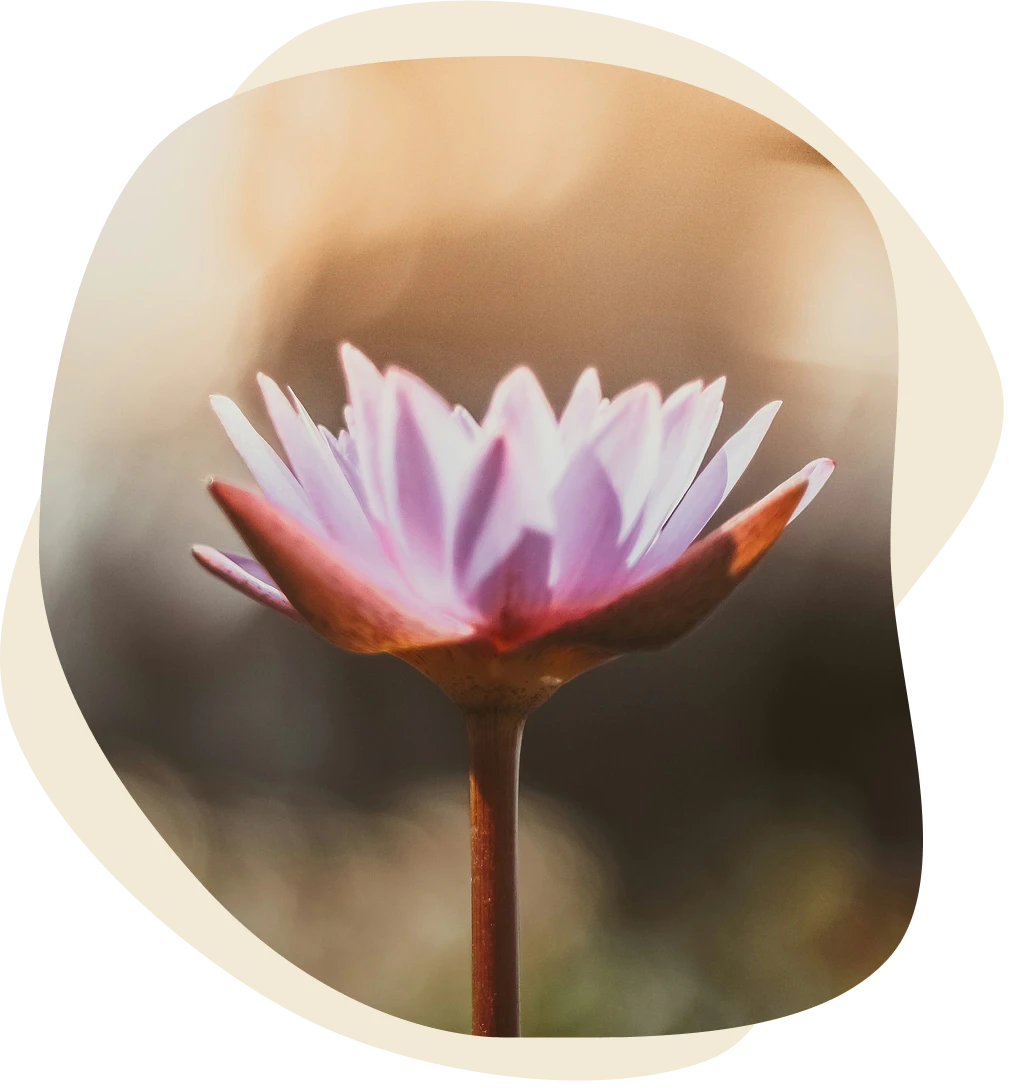 Leiderschap vraagt om ruimte, niet alleen richting